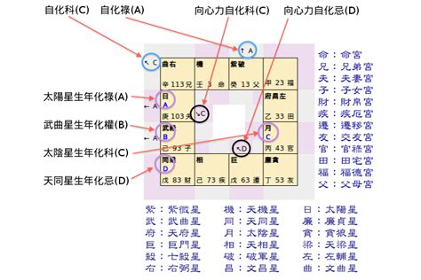 紫微斗數 12宮|紫微斗數盤怎麼看？12宮位星曜排列完整教學 